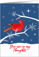 In Remembrance, You are in my Thoughts at Christmas, Cardinal Bird card