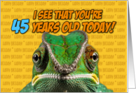 I See That You’re 45 Years Old Today Chameleon card