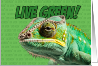 Live Green Chameleon card