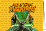 Birthday Chameleon card