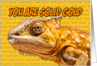 Solid Gold Chameleon Congratulations card