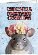 Congratulations New Pet Chinchilla card