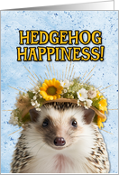 Congratulations New Pet Hedgehog card