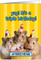 Triplets Happy Birthday Cupcake Hamsters card