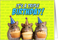 Triplets Happy Birthday Cupcake Mice card
