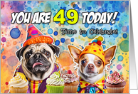 49 Years Old Pug and Chihuahua Cupcakes Birthday card