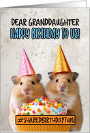 Granddaughter Shared Birthday Cupcake Hamsters card