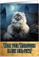 Himalayan Cat Halloween card