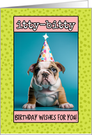 Happy Birthday English Bulldog Puppy card