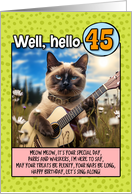 45 Years Old Happy Birthday Siamese Cat Playing Guitar card