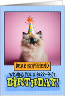Boyfriend Happy Birthday Himalayan Cat card