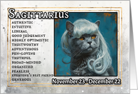 Sagittarius Birthday Zodiak Cat with White Wig card