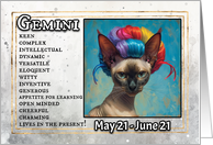 Gemini Birthday Zodiak Cat with Rainbow Wig card