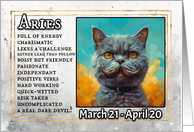 Aries Birthday Zodiak Cat with Brown Mustache card