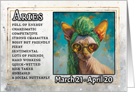 Aries Birthday Zodiak Cat with Green Glitter Wig card