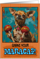 Cinco de Mayo Chihuahua with Maracas card