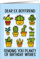Ex Boyfriend Happy Birthday Kawaii Cartoon Cactus Plants card
