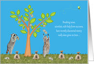 April Fools’ Day Card with Cute Raccoons Under a Money Tree card