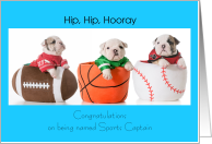 Congratulations on being named Sports Captain, cute puppies card