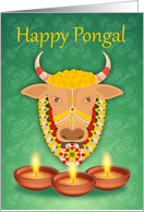 Happy Pongal, with cow and candles, on a green floral background card