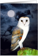 Hand-Painted Watercolor Barn Owl Bird card