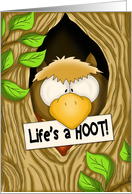 Life’s a HOOT Owl card