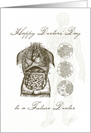 Illustrated Doctors’ Day for Future Doctor, Human Body Anatomy card