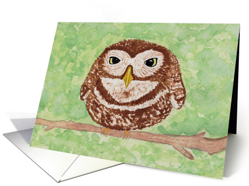 Perching Owlet card (1446828)