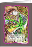 Happy Birthday, Aloe Vera, Succulent Plant card