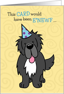Birthday Card Money Holder, Newfoundland Dog card