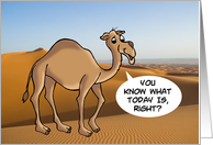 Wednesday Hump Day Cartoon Camel Against Desert Photo. card