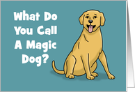 Funny Hi, Hello Card What Do You Call A Magic Dog card