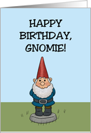 Humorous Friend Birthday With Cartoon Gnome Happy Birthday Gnomie card