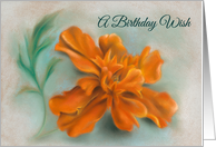 October Birthday Wish Orange Marigold Pastel Art card