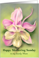 Custom Mothering Sunday for Mum Pink Columbine Flower Pastel Art card