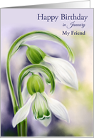 January Birthday Friend White and Green Snowdrops Spring Flower Custom card