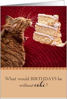 Funny Cat Eating a Giant Piece of Birthday Cake. card