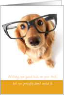 Good Luck with Test You Worked Doggone Hard card