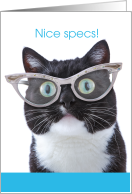 Nice Specs Cute Cat with Glasses New Glasses card