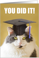 Congratulations You Did It Graduate For Anyone card