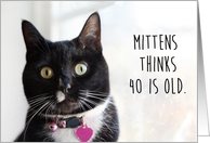 Happy Birthday Humor Cat Thinks 40 is Old card