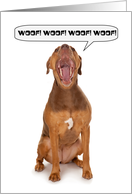 Happy Birthday Barking Pit Bull Dog Humor card