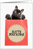 Happy Birthday Cat in a Bag Humor card