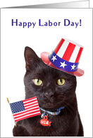 Happy Labor Day Patriotic Cat Humor card