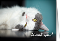 Thank You Adorable Kitty Cat card