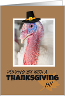 Happy Thanksgiving For Anyone Turkey in Pilgrim Hat Humor card