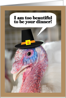 Happy Thanksgiving From Vegetarian Beautiful Turkey Humor card