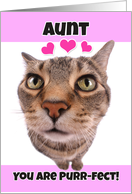 Happy Valentine’s Day Aunt Kitty Cat card