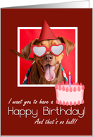 Happy Birthday For Anyone Funny Pit Bull Humor card