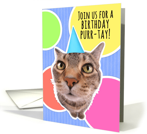 Cute Cat Birthday PURR-tay (party) Invitation Humor card (1556442)
